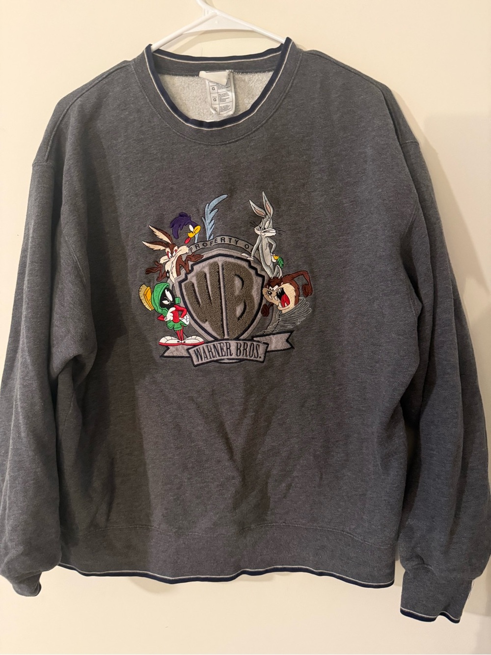 Warner Bros. Dark Gray Looney Tunes Logo Crew Sweatshirt